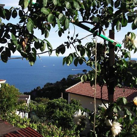 Le Mimose Villa Vietri Exterior foto