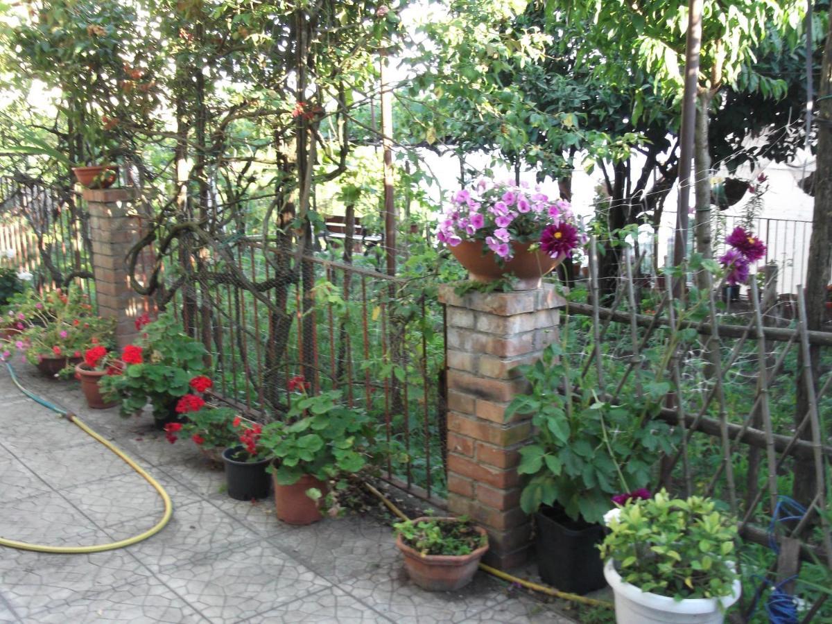 Le Mimose Villa Vietri Exterior foto