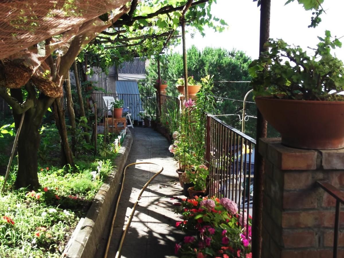Le Mimose Villa Vietri Exterior foto