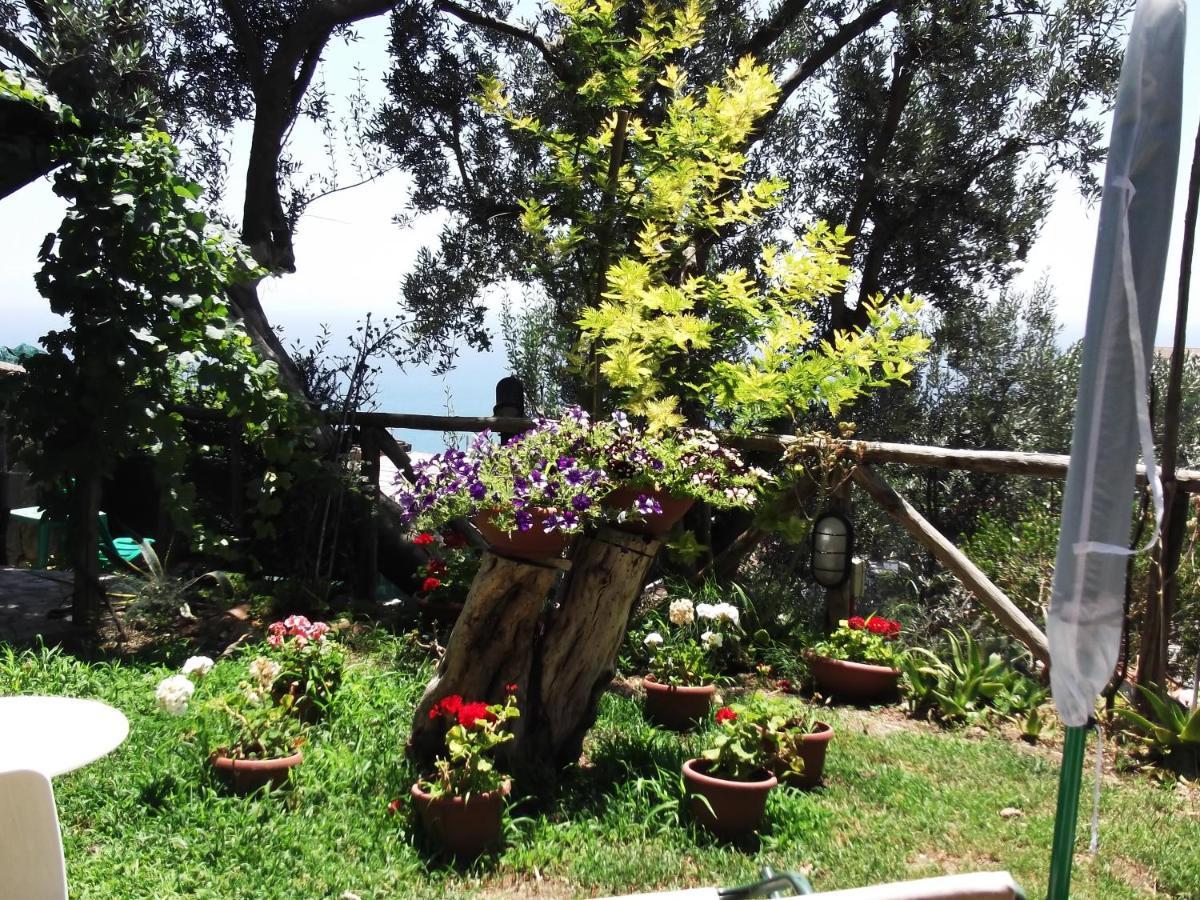 Le Mimose Villa Vietri Exterior foto