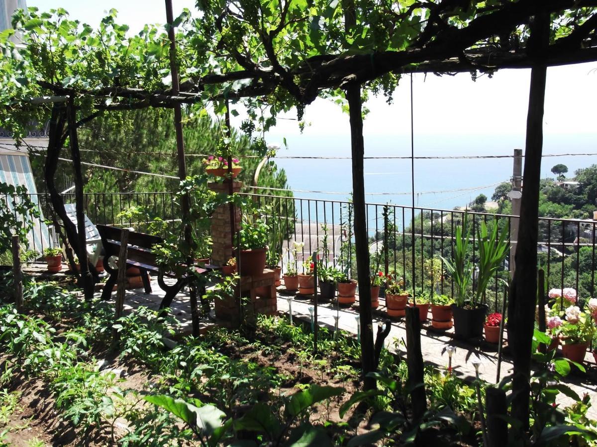 Le Mimose Villa Vietri Exterior foto