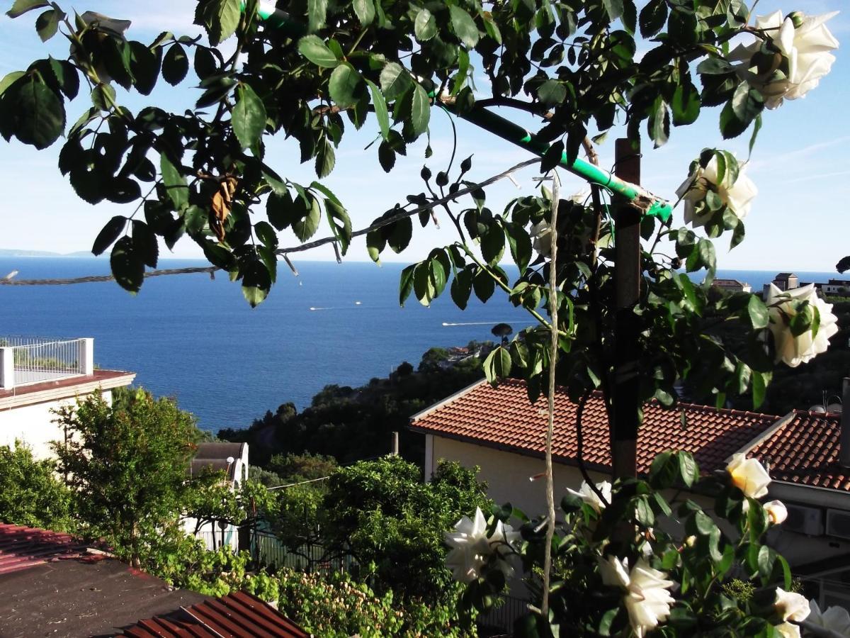 Le Mimose Villa Vietri Exterior foto