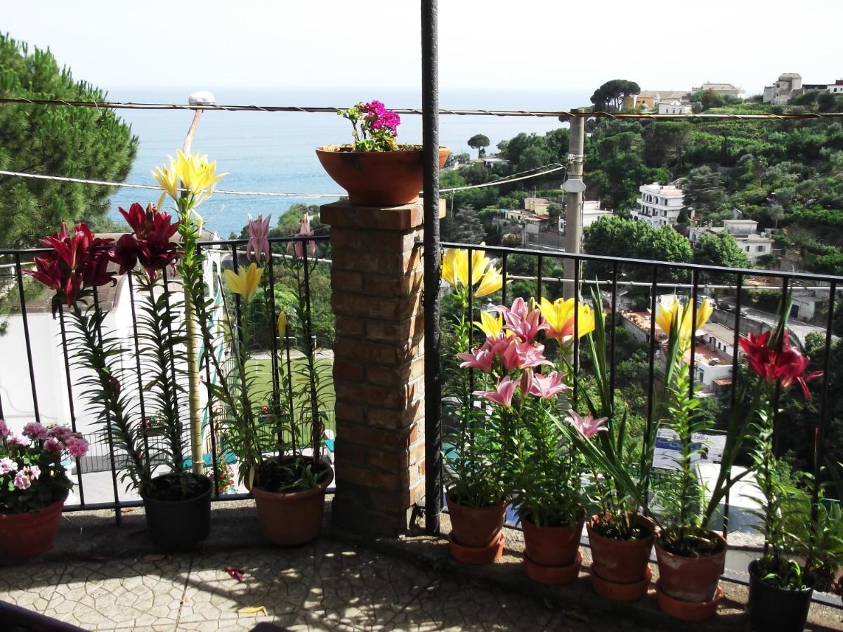 Le Mimose Villa Vietri Exterior foto