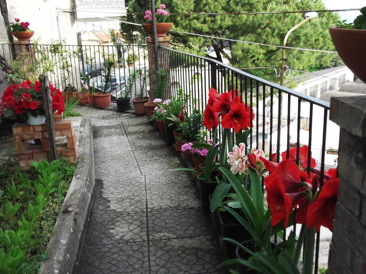 Le Mimose Villa Vietri Exterior foto