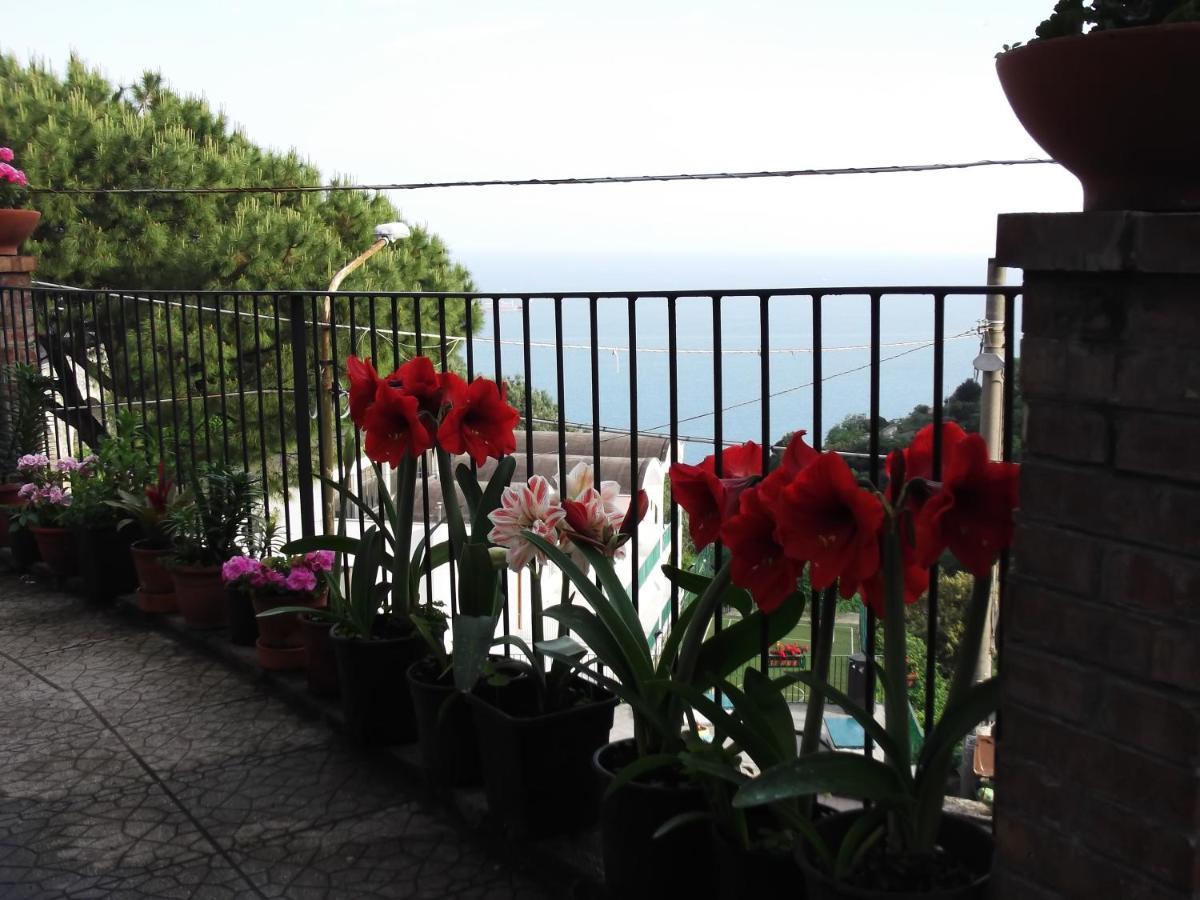 Le Mimose Villa Vietri Exterior foto