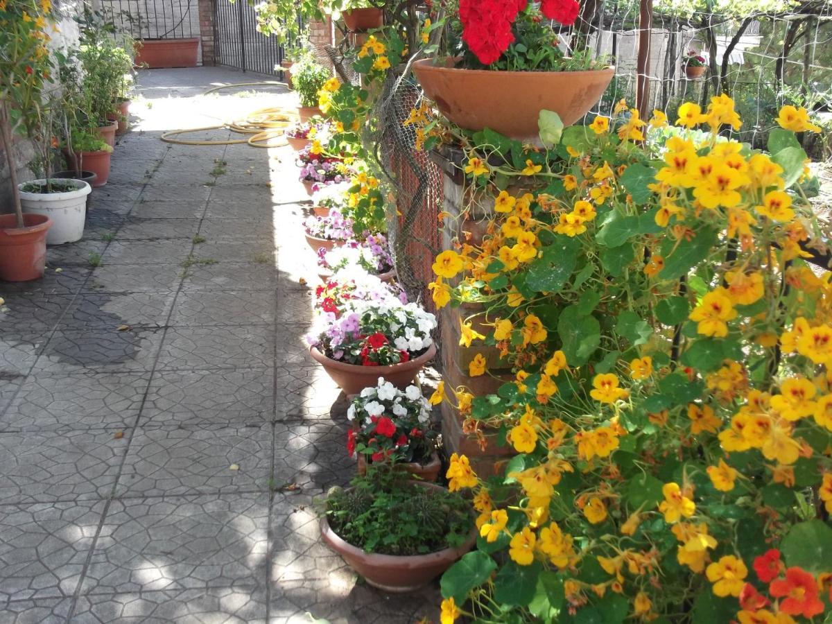 Le Mimose Villa Vietri Exterior foto