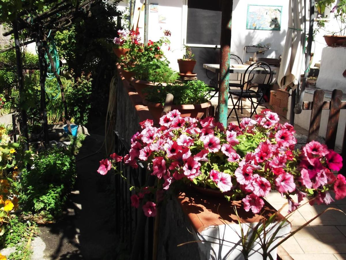 Le Mimose Villa Vietri Exterior foto