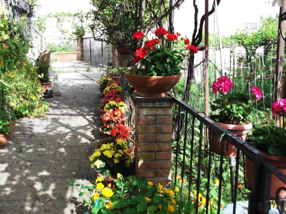 Le Mimose Villa Vietri Exterior foto
