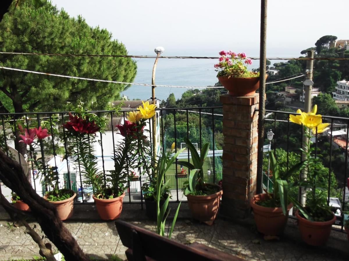 Le Mimose Villa Vietri Exterior foto