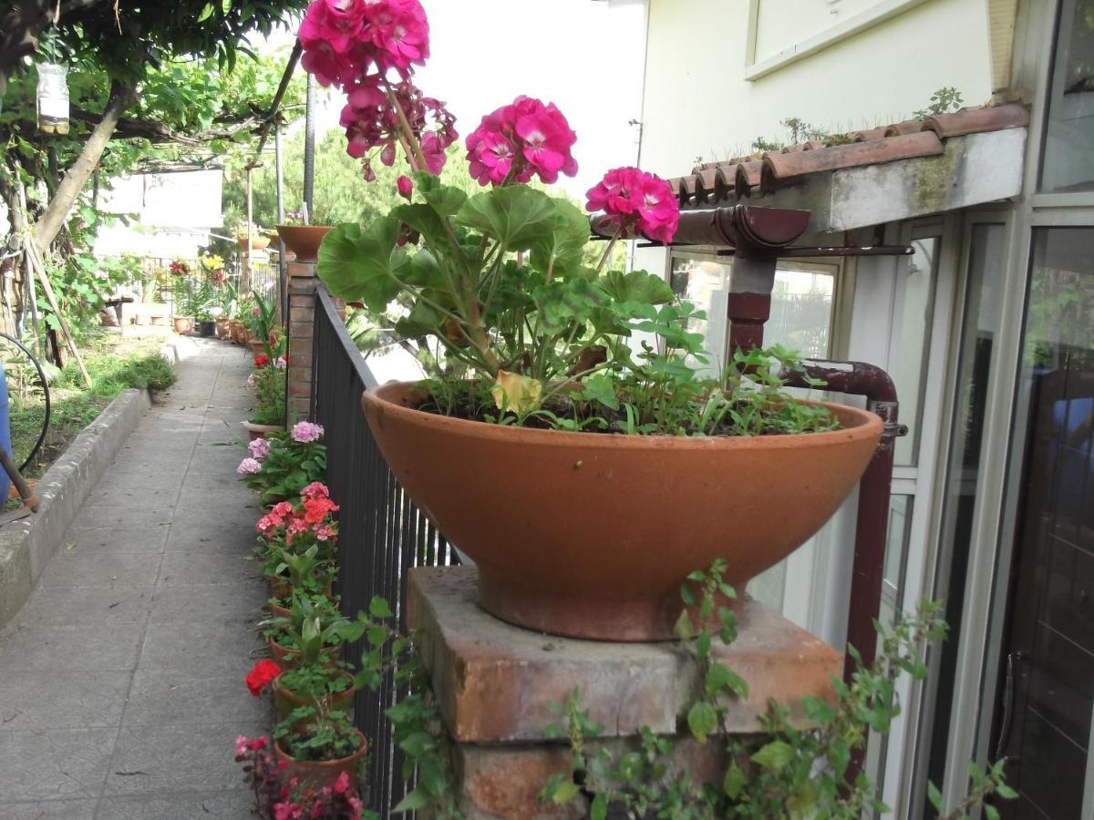 Le Mimose Villa Vietri Exterior foto