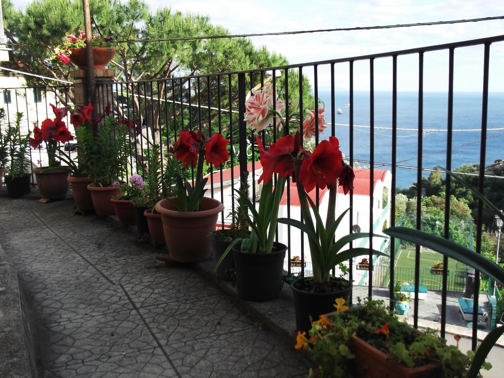 Le Mimose Villa Vietri Exterior foto