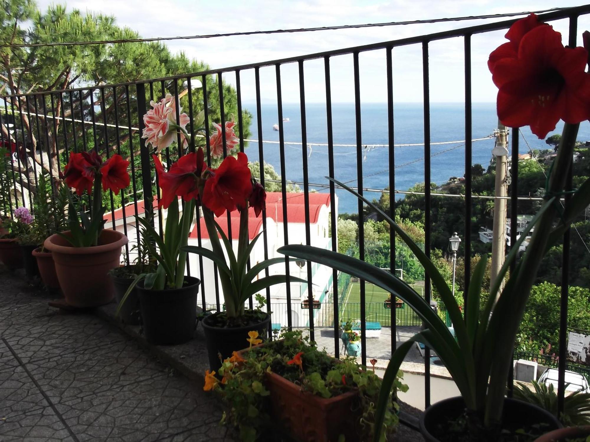 Le Mimose Villa Vietri Exterior foto