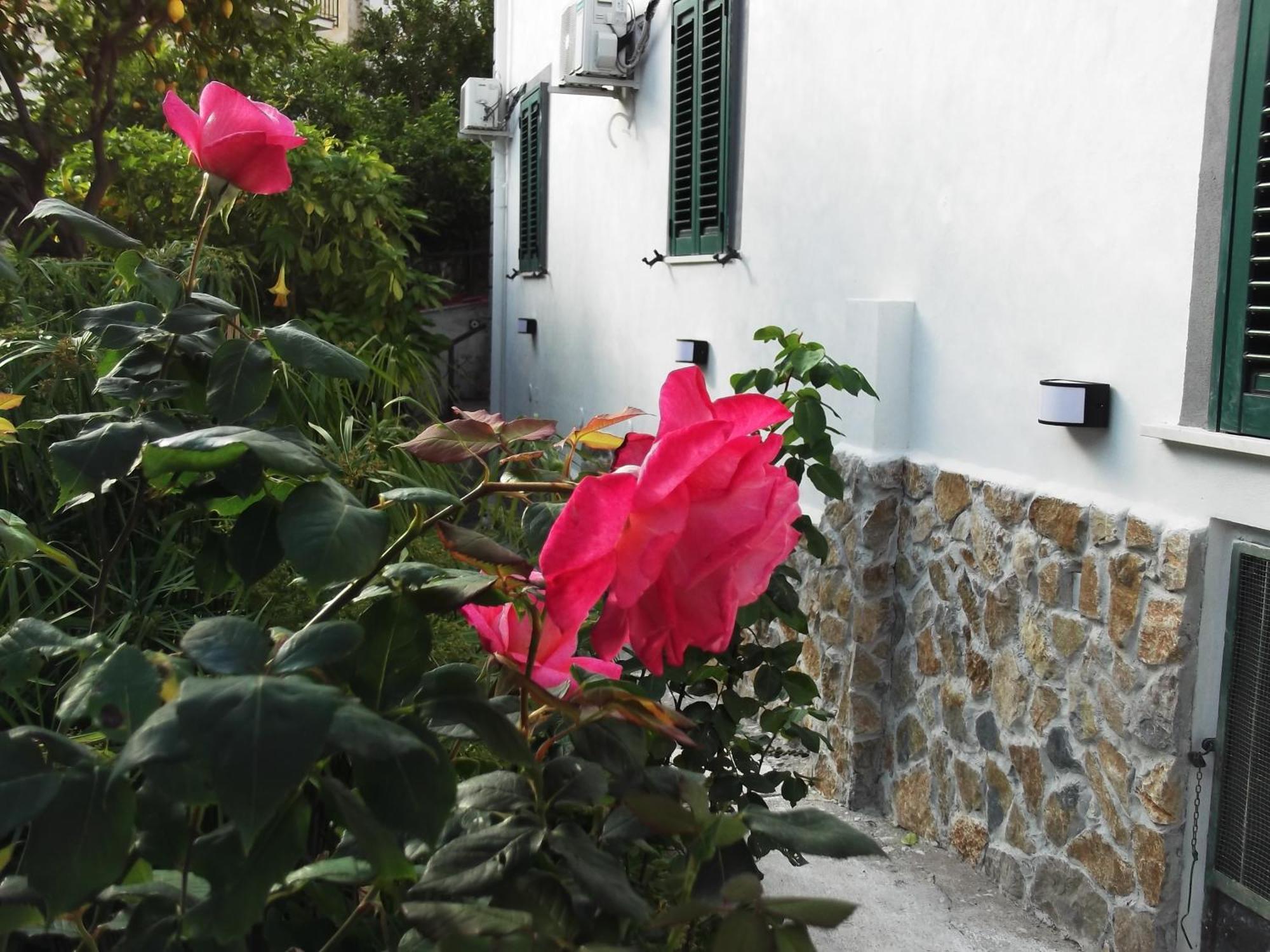 Le Mimose Villa Vietri Exterior foto