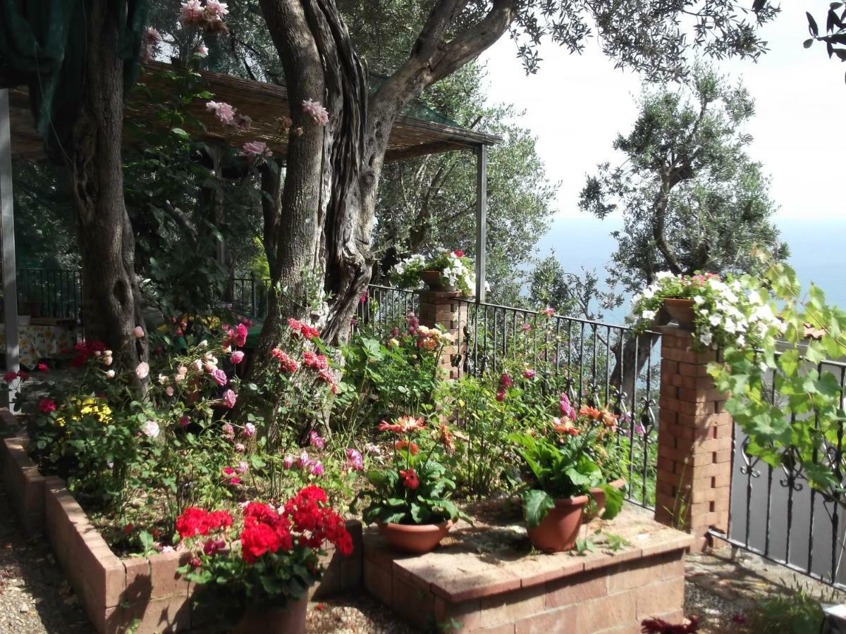 Le Mimose Villa Vietri Exterior foto