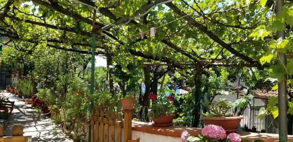 Le Mimose Villa Vietri Exterior foto